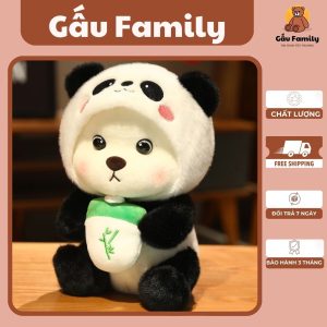 Gấu bông 