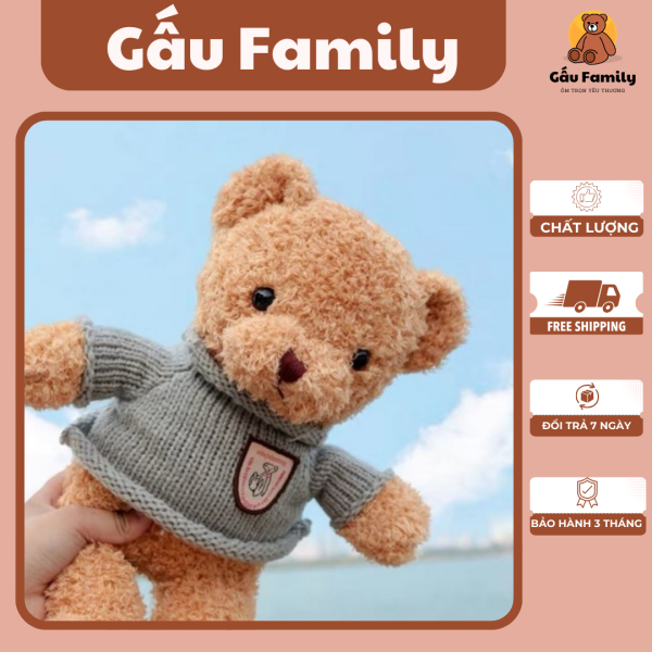 Gấu Teddy