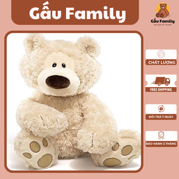 Gấu Teddy ngô nghê