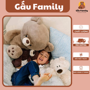 Gấu Teddy ngô nghê