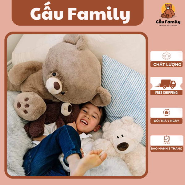 Gấu Teddy ngô nghê